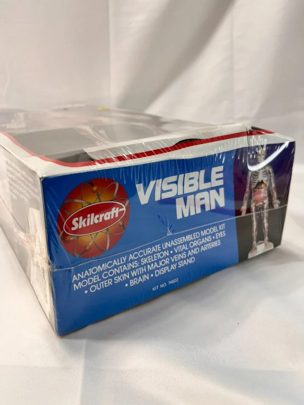 Vintage 1994 Skilcraft VISIBLE MAN Educational Anatomy Model Kit 14